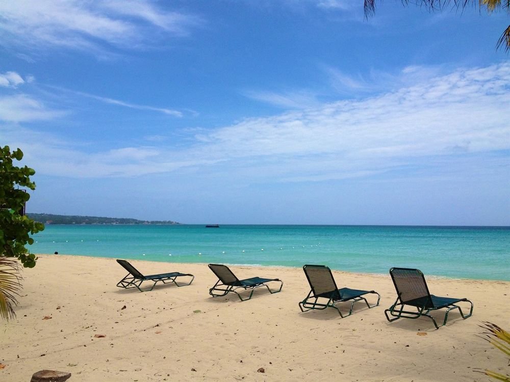 whistling bird resort
