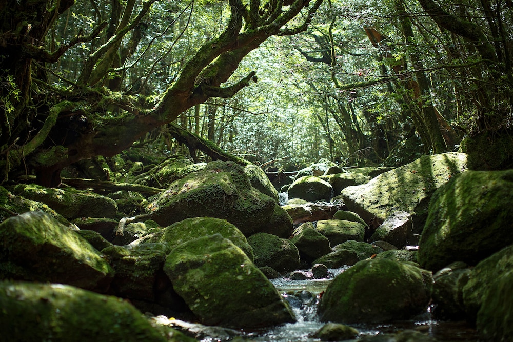 samana hotel yakushima