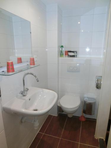 orange tulip hotel amsterdam hostel