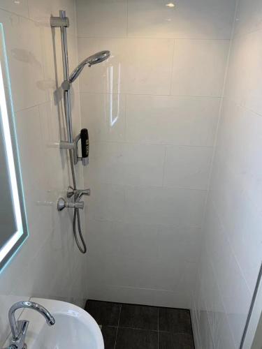 orange tulip hotel amsterdam hostel