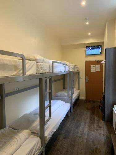 orange tulip hotel amsterdam hostel