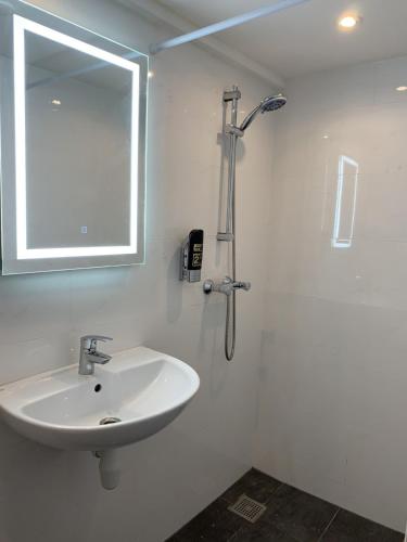 orange tulip hotel amsterdam hostel