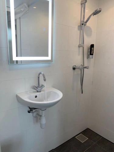 orange tulip hotel amsterdam hostel