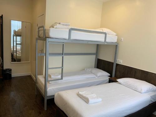 orange tulip hotel amsterdam hostel