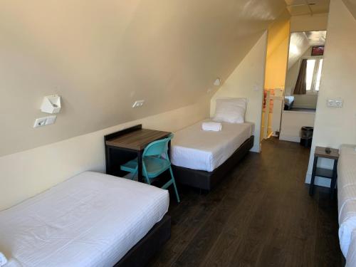 orange tulip hotel amsterdam hostel