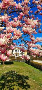 villa serena agriturismo