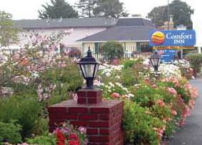 The Inn At 1252,Monterey>>Del Rey Oaks,3 star