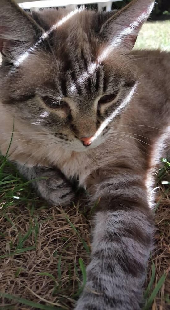 weingarten terlan rooms and breakfast