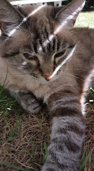 weingarten terlan rooms and breakfast