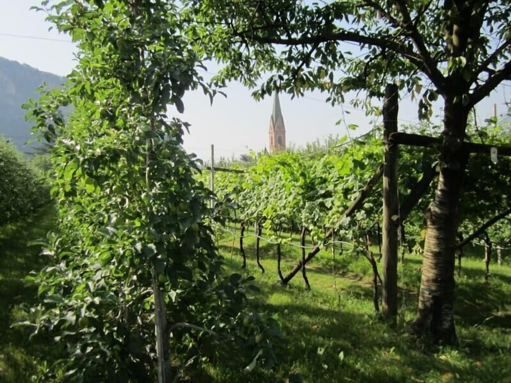weingarten terlan rooms and breakfast