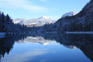 golling an der salzach