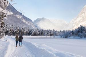 golling an der salzach