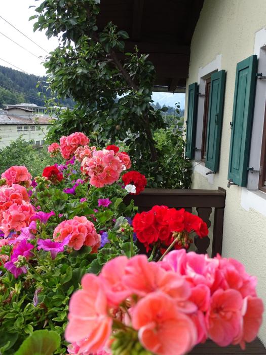 kitzbuhel