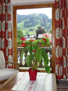 kitzbuhel