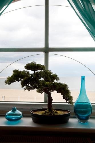 zhong hua hotel chinski