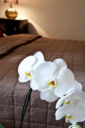 zhong hua hotel chinski