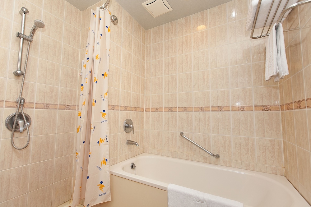 hoya hot springs hotel