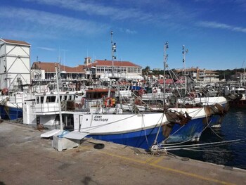 Cape St Francis Resort,Cape Saint Francis>>Cacadu,3 star
