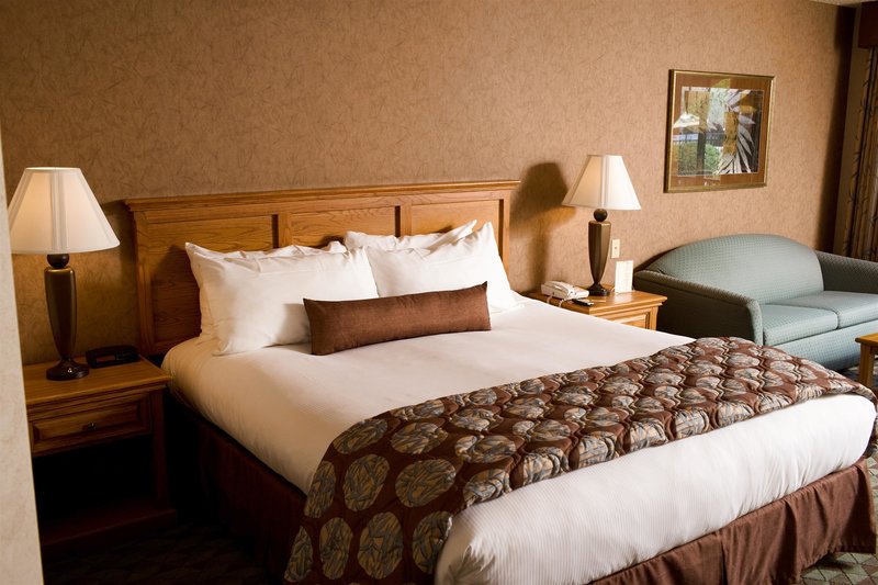 borrego springs resort and spa