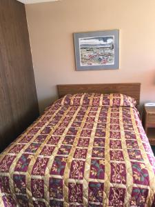 budget host village inn