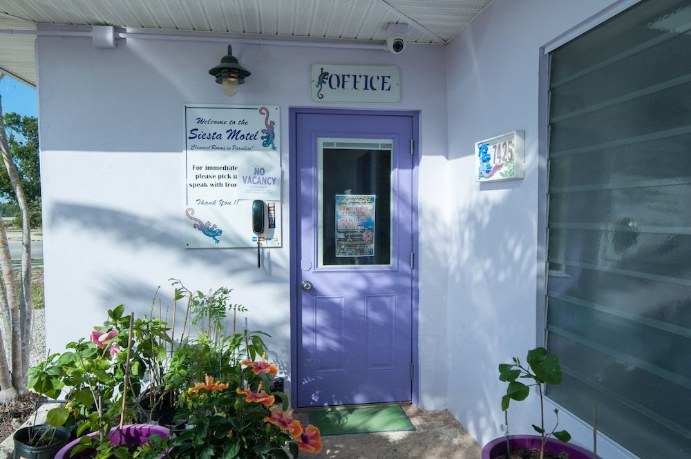 siesta motel
