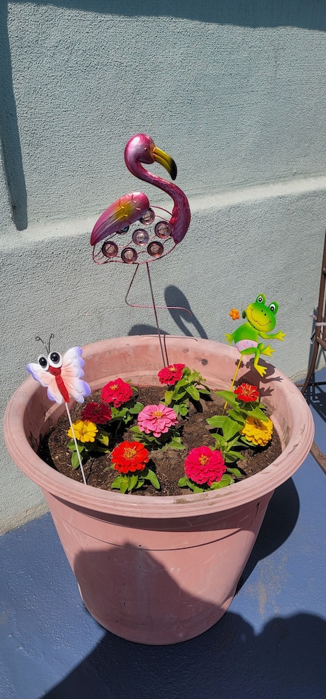 pismo beachwalker inn and suites