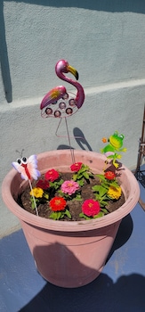 pismo beachwalker inn and suites