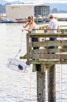 The Hotel Garibaldi,Garibaldi>>Bay City,3 star