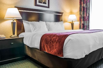 comfort suites canton detroit