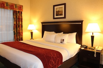 comfort suites canton detroit