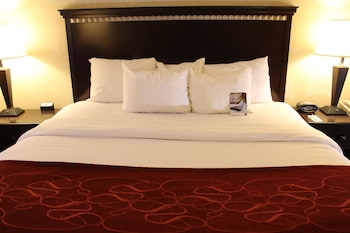 comfort suites canton detroit