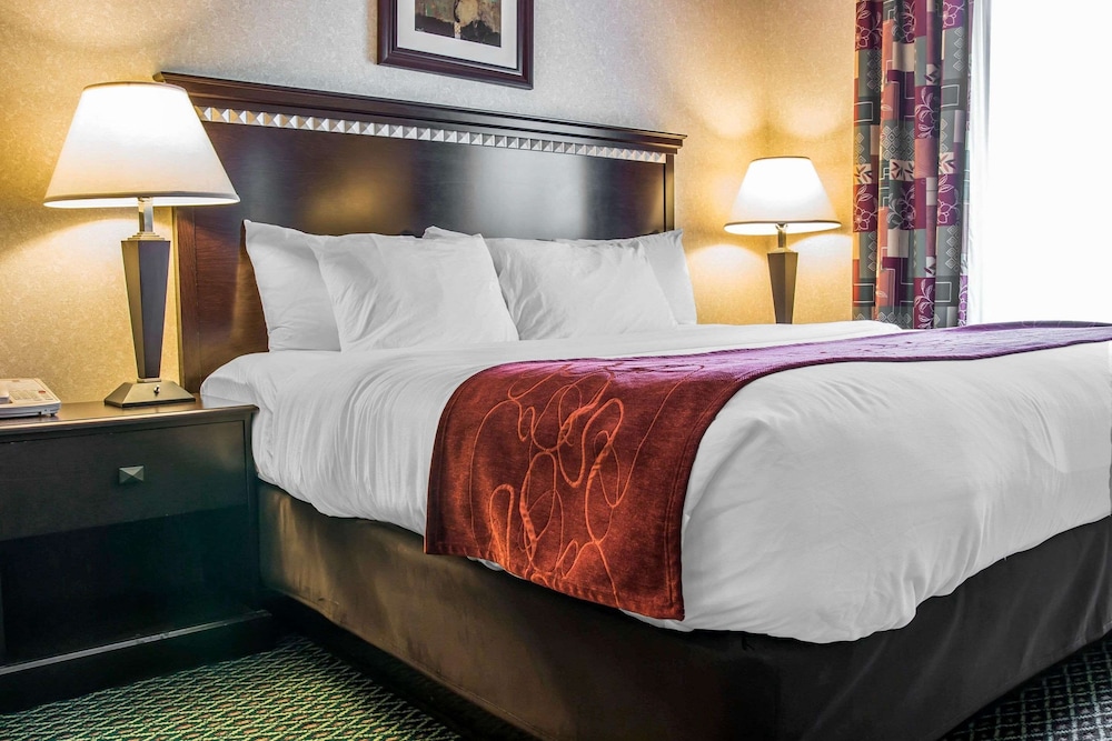 comfort suites canton detroit