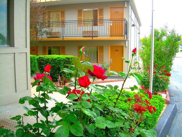 executive inn and suites springdale