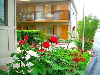 executive inn and suites springdale