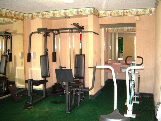 executive inn and suites springdale