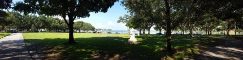 the birchwood