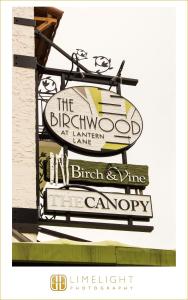 the birchwood