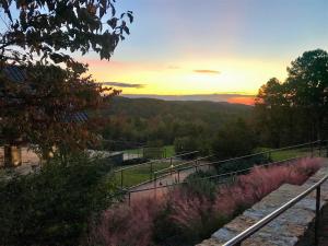mountain top inn and resort