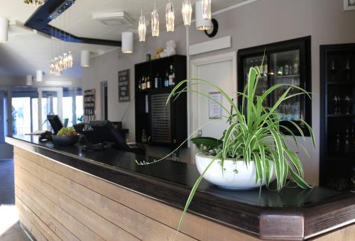 best western hotel 23