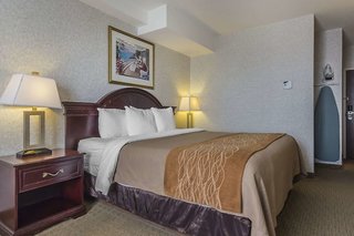 Comfort Inn & Suites Medicine Hat,Medicine Hat>>Alberta,3 star