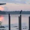 Tropical Resort & Marina On Lake Beresford,Deland>>Daytona Beach,2 star