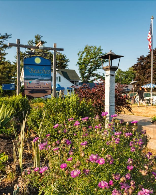the beaches guest rooms and cottages