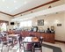 quality inn and suites