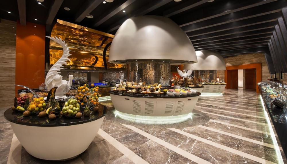 elexus hotel resort and spa