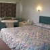 red carpet inn berlin