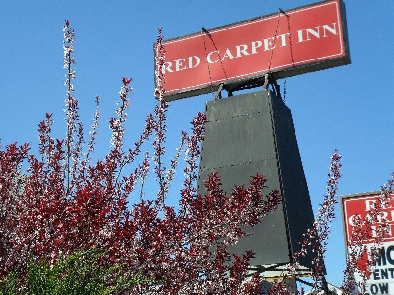 red carpet inn