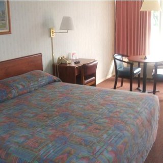 red carpet inn louisville