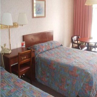 red carpet inn louisville