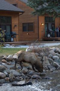 estes park