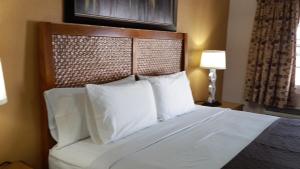 american regency inn